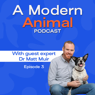 [EPISODE 3] Integrative Veterinary Medicine in Action with Dr Matt Muir