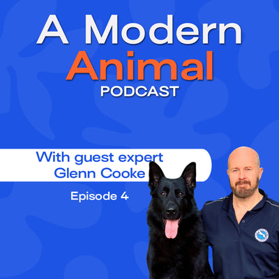 [EPISODE 4] Foundations of Dog Behaviour with Glenn Cooke