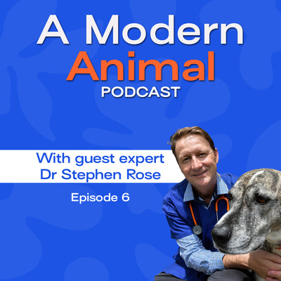 [EPISODE 6] The World of Pet Insurance with Dr Stephen Rose