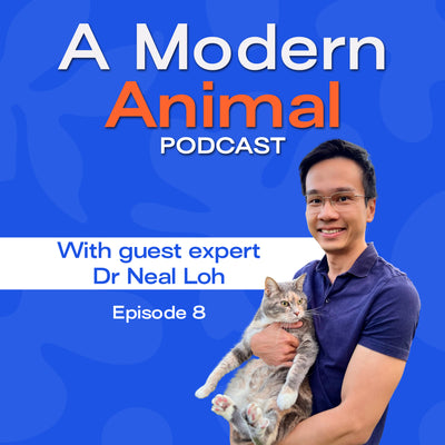 [EPISODE 8] Learning about Traditional Chinese Veterinary Medicine with Dr. Neal Loh