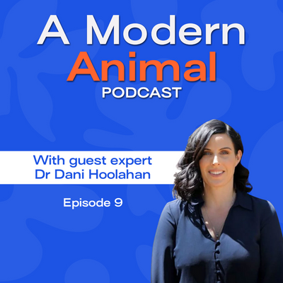[A Modern Animal Ep9] Scratching the surface of skin & coat conditions with Dr Dani Hoolahan