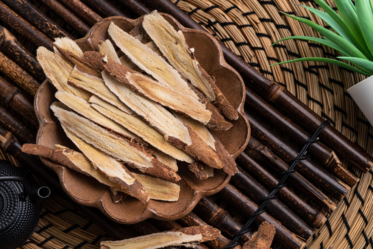 The Benefits Of Astragalus For Dogs