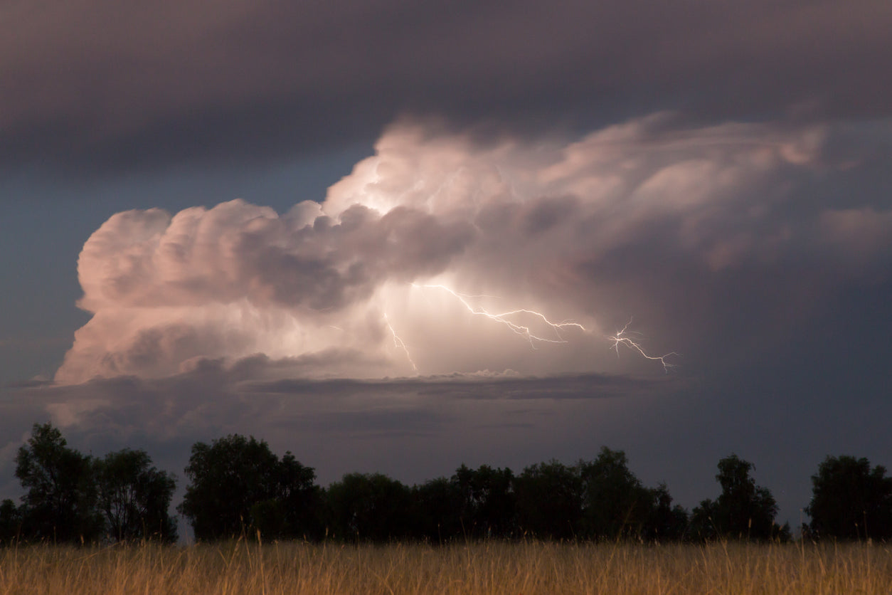 Your dog and thunderstorms – how you can help